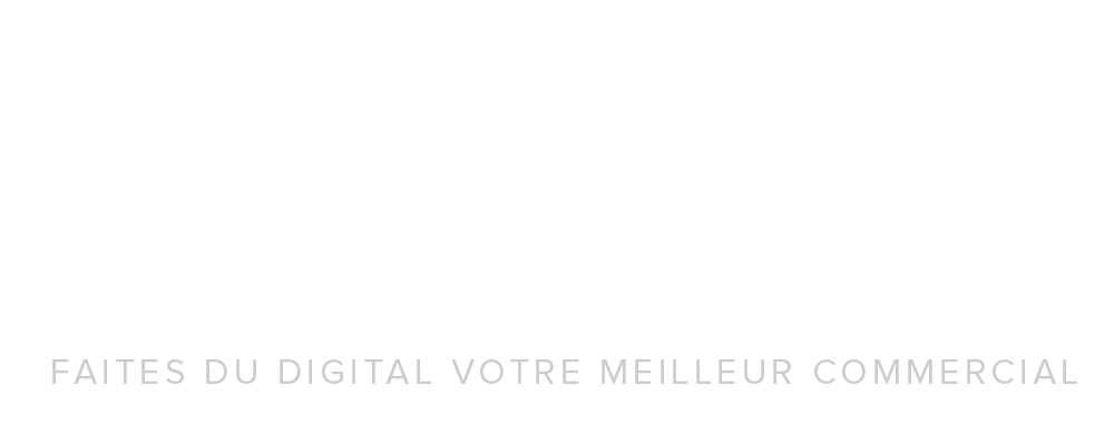 Logo Riddle Plan de Travail 1